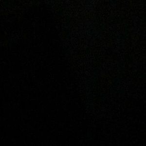 Meet your Posher, Bruce